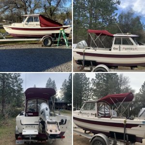 Bimini top & drop curtain
