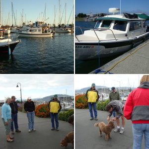 Bellingham, WA 2010
