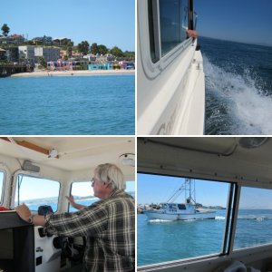 Greenie (Sienna) Launching Sea-Cruz