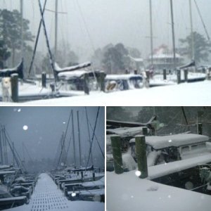 Sea Baby-Covered in 5-1\2" snow-Whortonsville-22JAN11