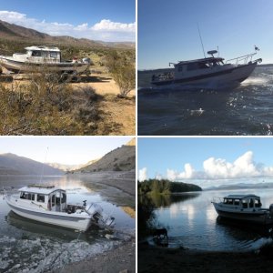 Tom birdwatching, trip through Washington's Olympic Peninsula