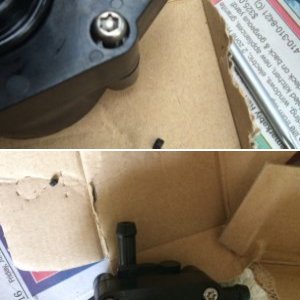 Low pressure fuel pump and rubber