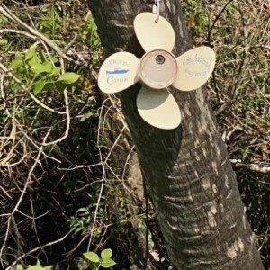 Spotted in the wild on Blue Creek! The last storm must have blown away any camouflage because it was out in the open 😂
