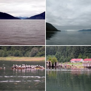 Gastineau Channel heading south with eagle escort.