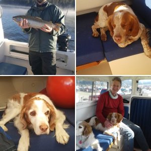 Our life went to the dogs long ago