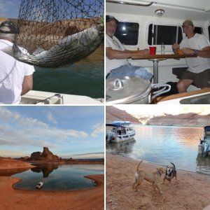 Our Lab Dori at Lake Powell 2012