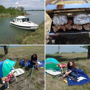 Small Picnic 1