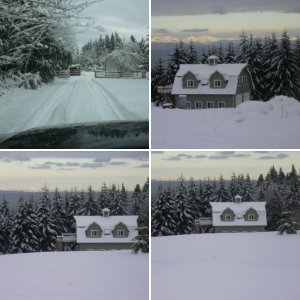Winter at Freshwater Bay 001