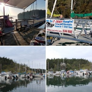 Brats at Dock Friday Night