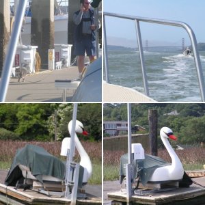 9 C-Dory's at the Wheeler Island Duck Club