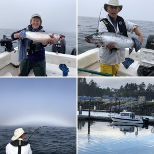 Alone in Prevost Harbor