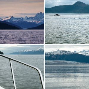 Evening cruise to Taku Inlet