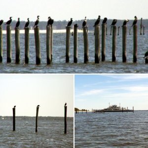 Minnesott Ferry, Neuse River, NC