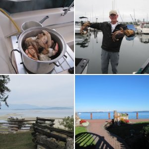Tied up at floating dock, Stuart Island