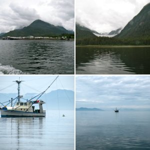 Fishing vessels queuing up at cannery