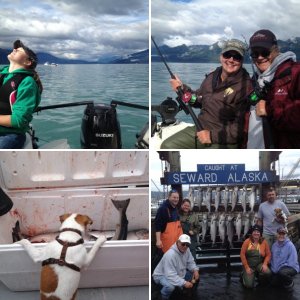 Seward, Alaska 2013