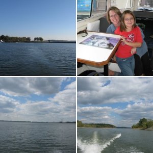 We drove to KY Dam Marina on Thursday 10/16/08, the first day of fall break.  There were clouds and light rain for much of the drive....perfect C-Dory weather.  Our heater worked fine so we started up river.  The wildlife started immediately with this bird just outside the marina.