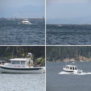 Cat Claw New Honda 90 Break-in Yellowstone Lake 2018