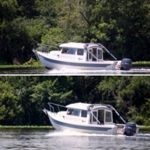 Cruising on St Johns River, FL