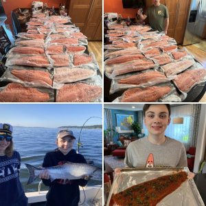 25# king out of elliot bay