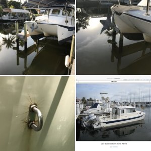 First splash for our new to us Tomkat