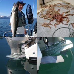 Barrel o Monkeys in Whittier Alaska
