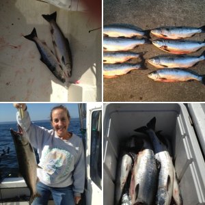 James Island - May 2013