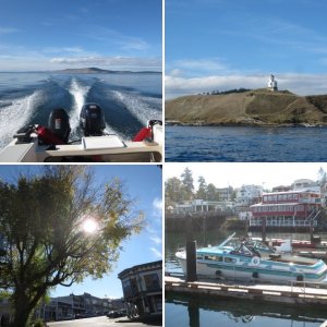 At Kingston marina Aug 16, 2014