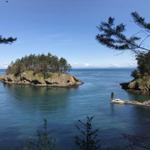 Rolfe Cove - Matia Island