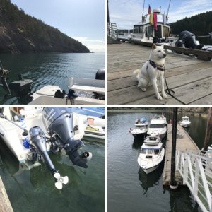 Prevost Harbor, Stuart Island