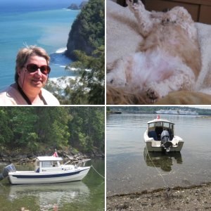 Maddie (Madison) and Mommy (Brenda)   Both passed to spirit May 2010.  I sail to honour their memory