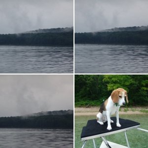 Cruising at top speed.