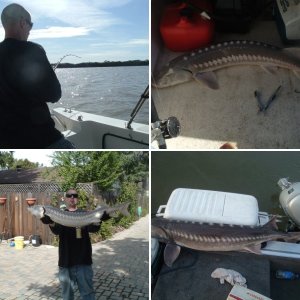 Sturgeon 07'