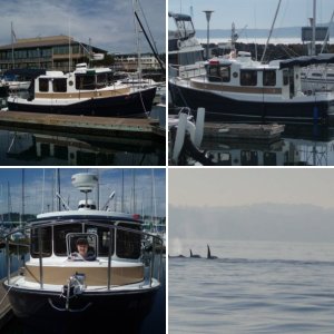 (C-Sick) Rainier Beach Marina