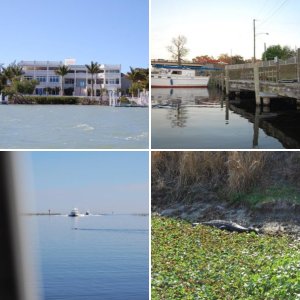 This guy came to visit at Indiantown Marina there was an 8' alligator laying on the back about 75' away. Apparently they don't like manatee