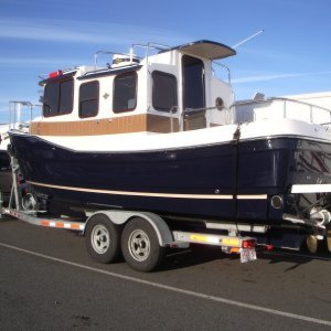 New Sea Saddle