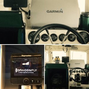 DRAGONFLY INSTALLED NEXT TO MY GARMIN 4212