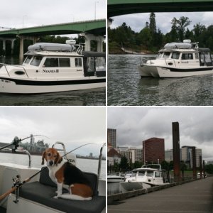 Tied up at Willamette park
