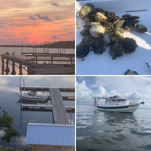Piper Jane in Florida