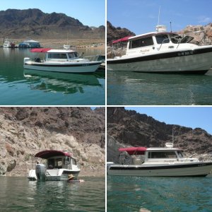 7 Donkeys appeared just off where we were anchored.  First we heard the "He Haws" louder and louder.. then there they were.  No sighting of Dall Sheep though