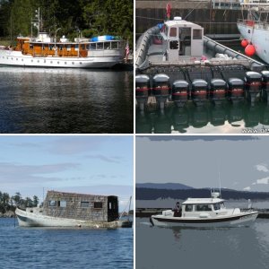 Campbell River Cutie