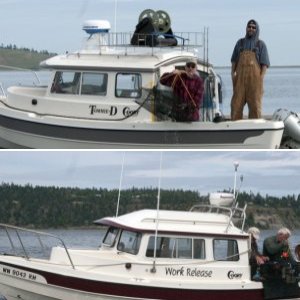 \"Work Release\" Shrimp Fishing Discovery Bay