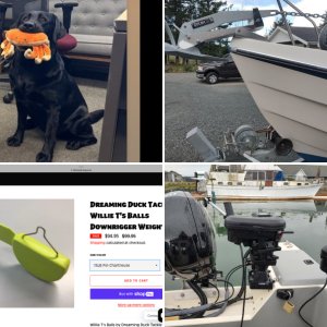 Rocna 6kg fisherman anchor. SeaDog pivoting bow roller.