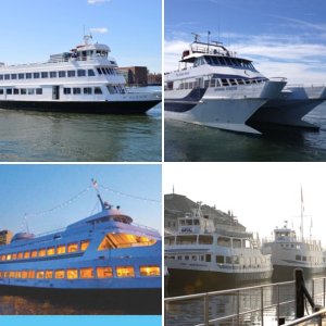 You should see my OTHER cat Napoleon!  Ha ha!  90', 149 passenger, 2820 HP, 30 knots