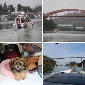 Friday Harbor 2019
