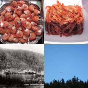 In Queen Charlotte Strait