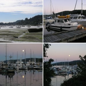 Deer Harbor