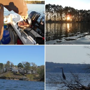 ANCHORED IN A QUIET COVE ON TOLEDO BEND LAKE, LA.