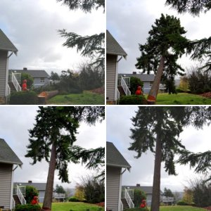 Untitled album569