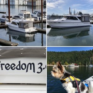 Christened as "Freedom"